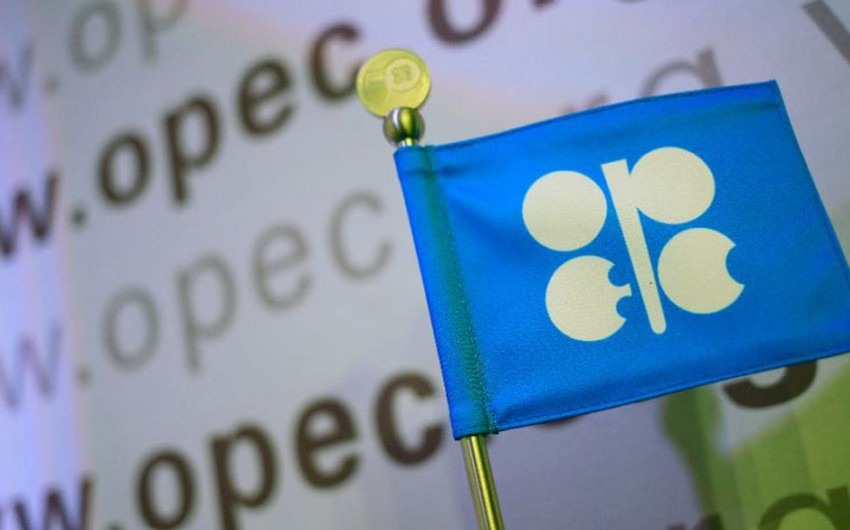 “OPEC+” neft hasilatı ilə bağlı hazırkı qərarları dəyişməyəcək