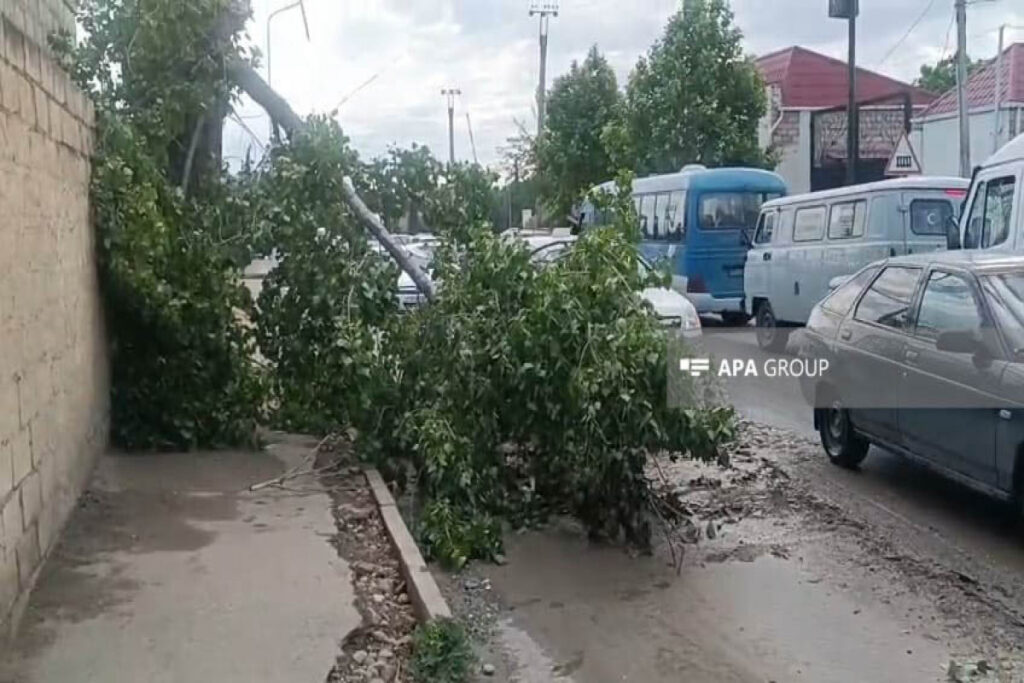 Gəncədə güclü külək və leysan fəsadlar törədib – FOTO
