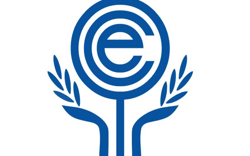 Azərbaycanın ECO üzvləri ilə həm ayrılıqda, həm də təşkilat çərçivəsində əməkdaşlığı mövcuddur – RƏY