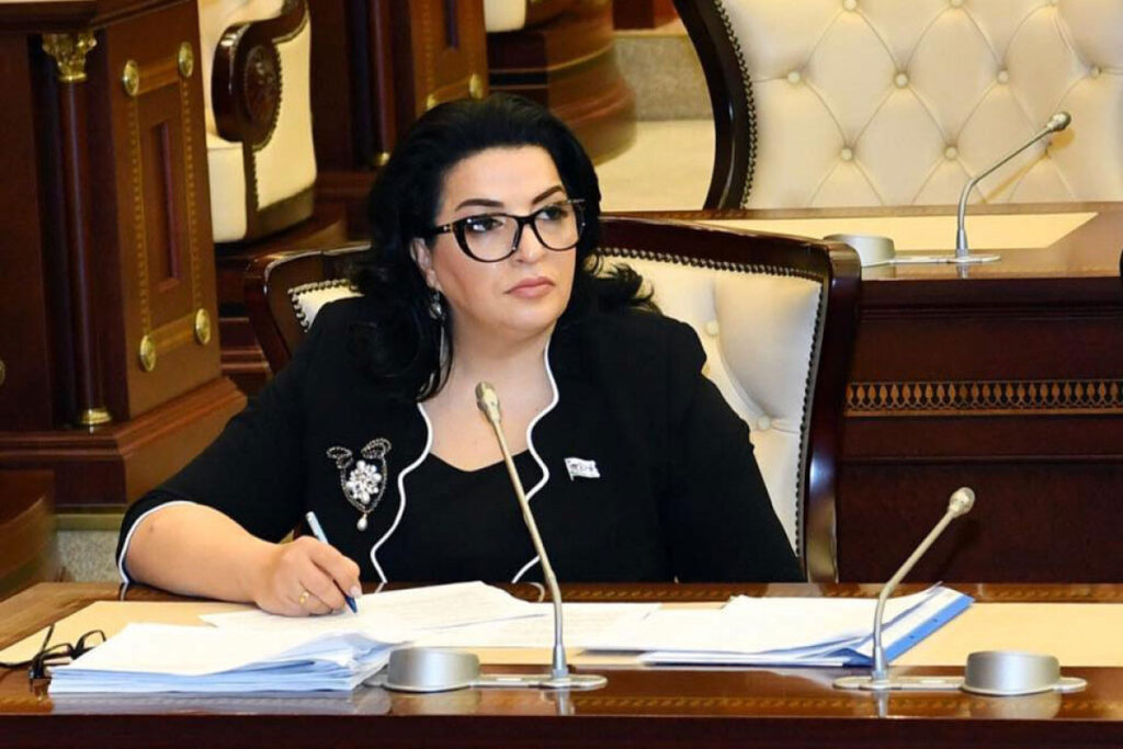Deputat: İnkişaf etmiş ölkələrdə sabit tarif sosial yönümlü addım sayılır