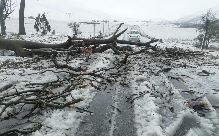 CAR-da əlverişsiz hava səbəbindən 49 nəfər ölüb