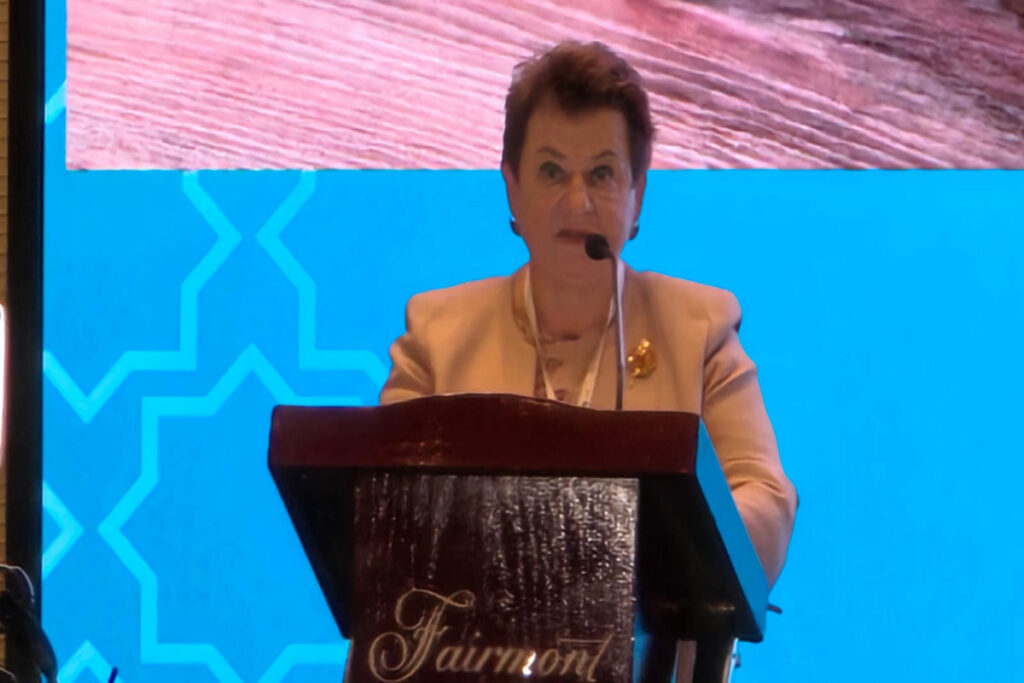 Svetlana Orlova: Audit qurumları DİM üzrə vahid yanaşma formalaşdırmalıdır