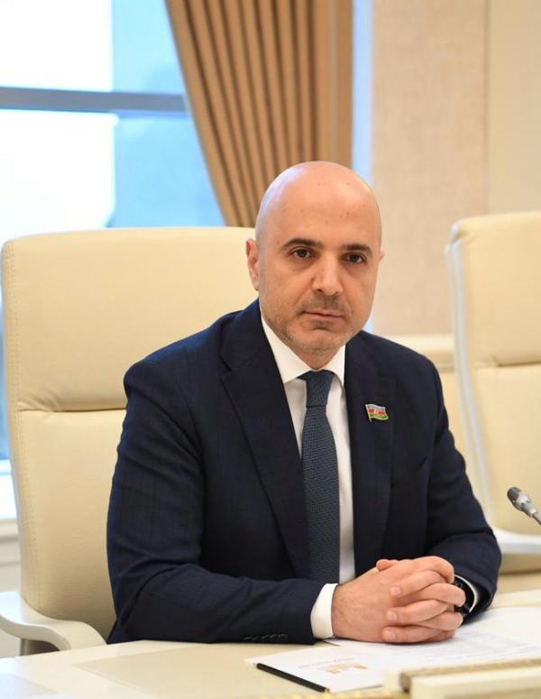 GÖYDƏNİZ QƏHRƏMANOV: Soydaşlarımıza qarşı yönəlmiş zorakılıq və təzyiq halları yolverilməzdir