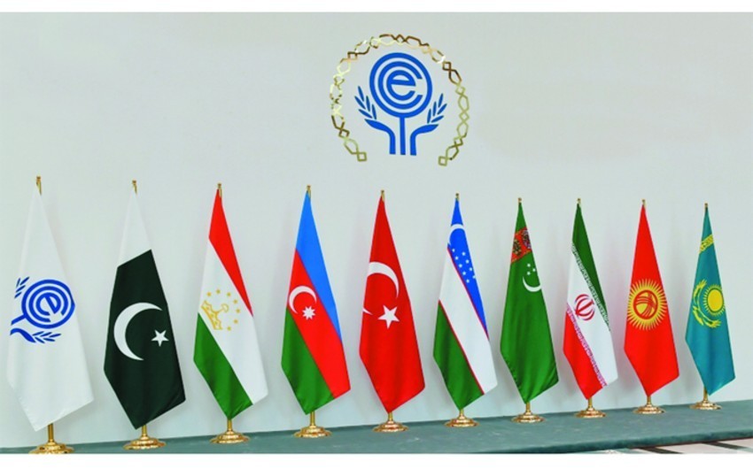 İƏT-in Xankəndi sammiti sülhə və Azərbaycan diplomatiyasının nüfuzuna böyük töhfədir – RƏY