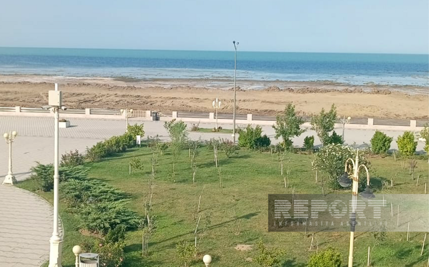 Professor: Xəzərin səviyyəsinin aşağı düşməsinin səbəblərindən biri Volqadan axan suyun həcminin azalmasıdır