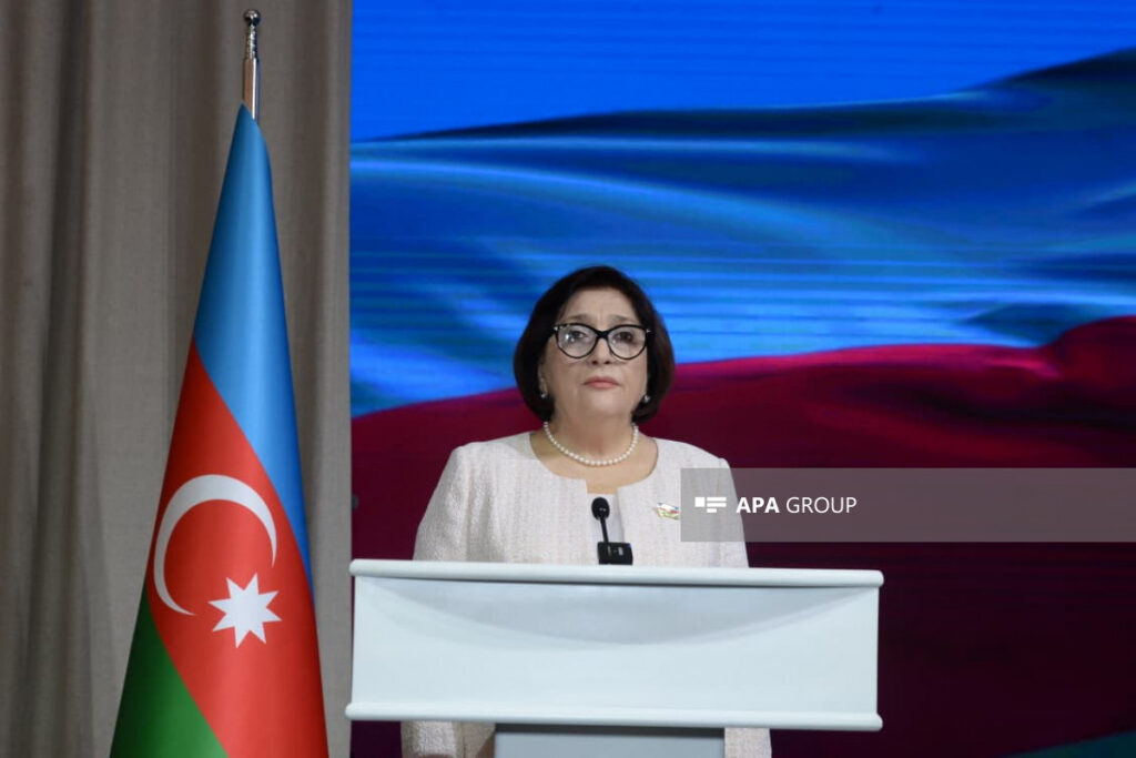 Sahibə Qafarova: Azərbaycan və Türkiyə beynəlxalq məsələlərdə daim eyni mövqedən çıxış edirlər