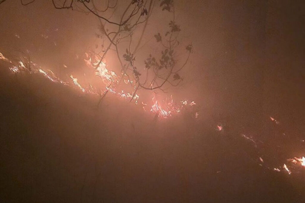 Türkiyədə meşəyə ildırım düşüb, yanğın başlayıb