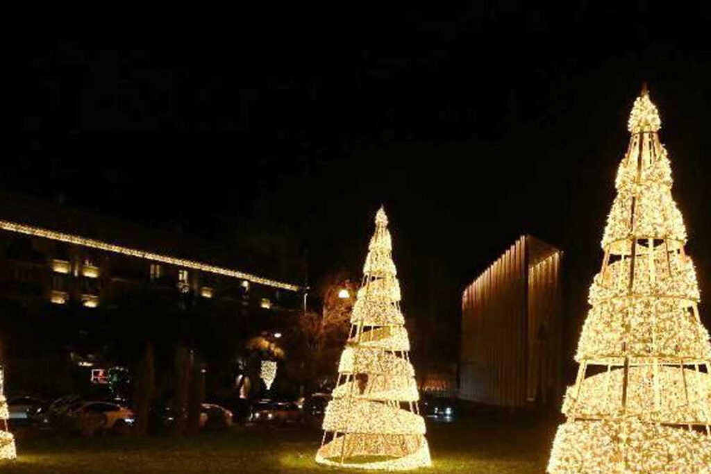 Bakıda Yeni ilə hazırlıq tədbirləri həyata keçirilir – FOTO