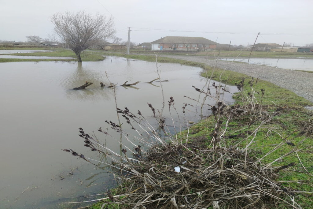 Masallıda əkin sahələrini su basıb – FOTO – VİDEO