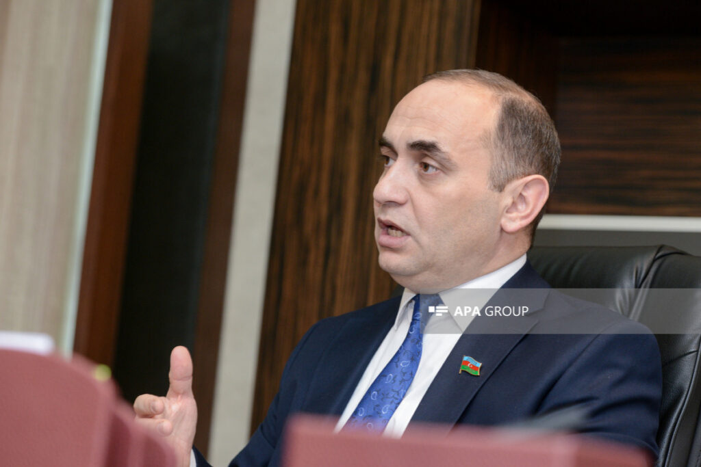 Deputat: Bir sıra internet oyunlarına Azərbaycanda qadağa qoyulması barədə düşünməliyik