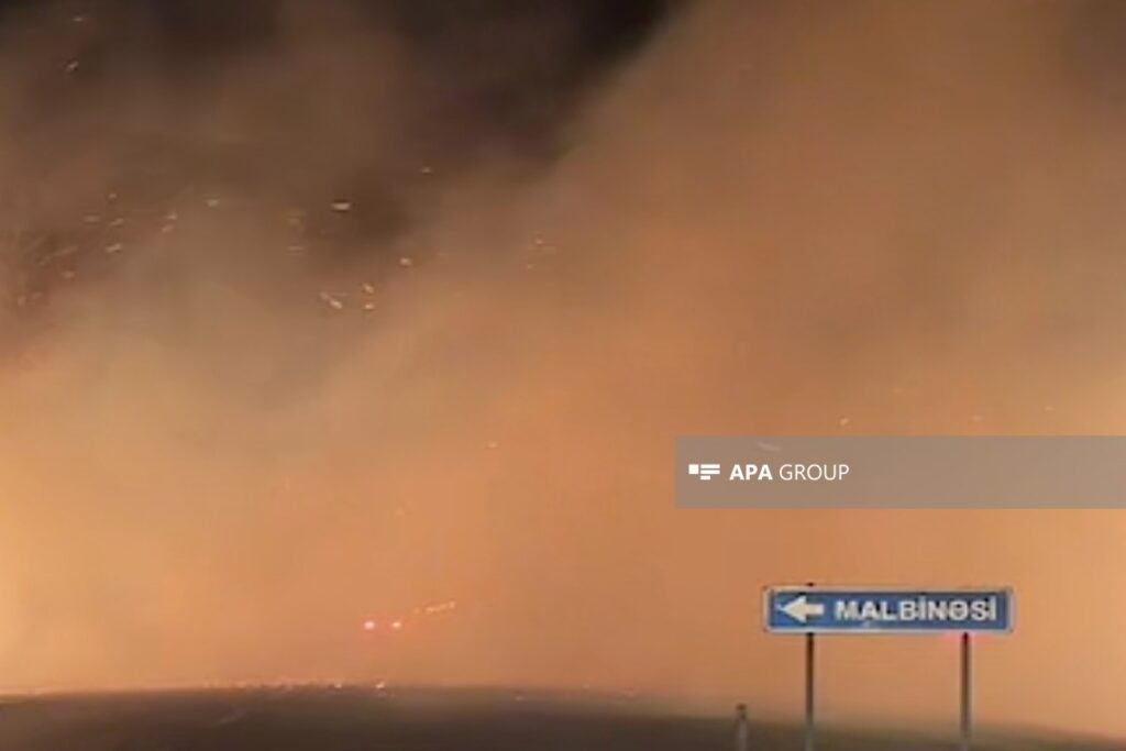 Yevlax rayonu ərazisində kolluq və ağaclıq ərazilərdə güclü yanğın başlayıb – YENİLƏNİB