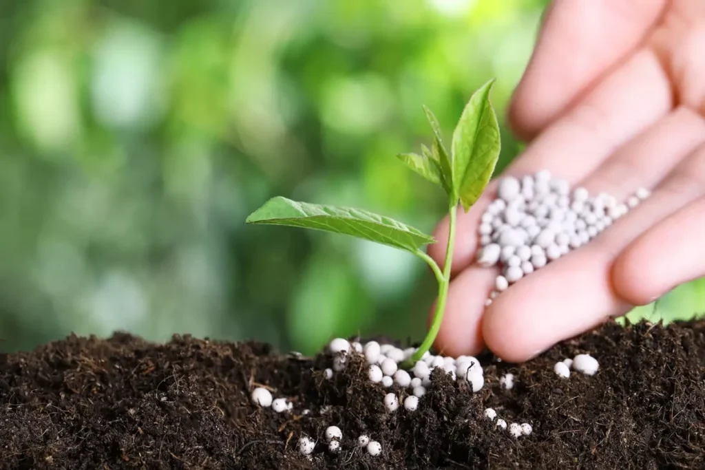 Azərbaycanın gübrə ixracından gəlirləri 40% azalıb
