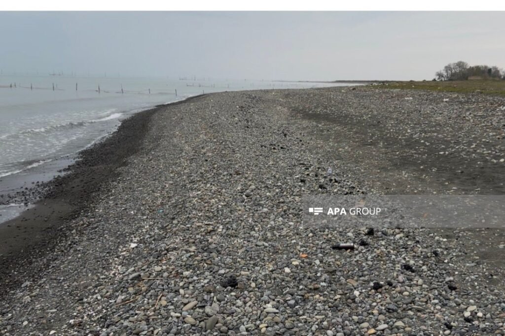 Lənkəranda dəniz sahilində mazut tullantılarına rast gəlinir – FOTO
