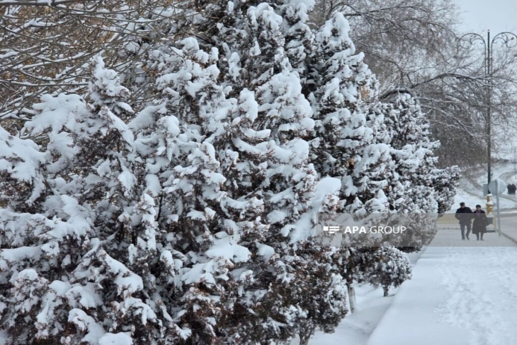 Bəzi rayonlara yağış, dağlıq ərazilərə qar yağır – FAKTİKİ HAVA