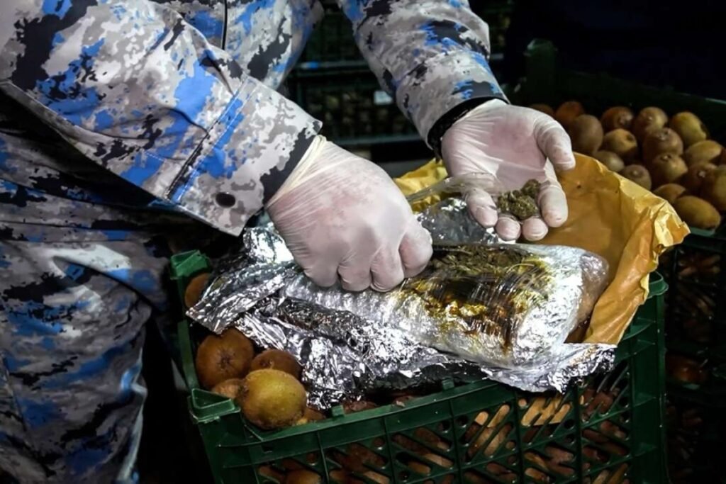 “Kivi” yükündə külli miqdarda narkotik vasitə aşkarlanıb