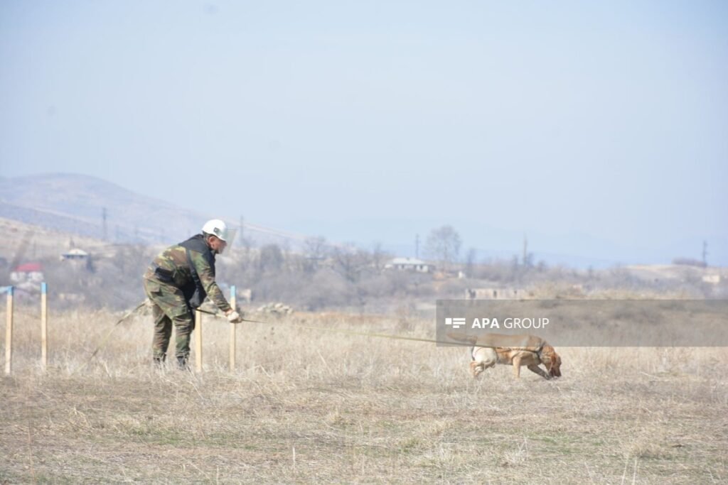 Minatəmizləmə fəaliyyətiylə bağlı qiymətləndirmə və təlimlərə görə haqqın məbləği təsdiqlənib