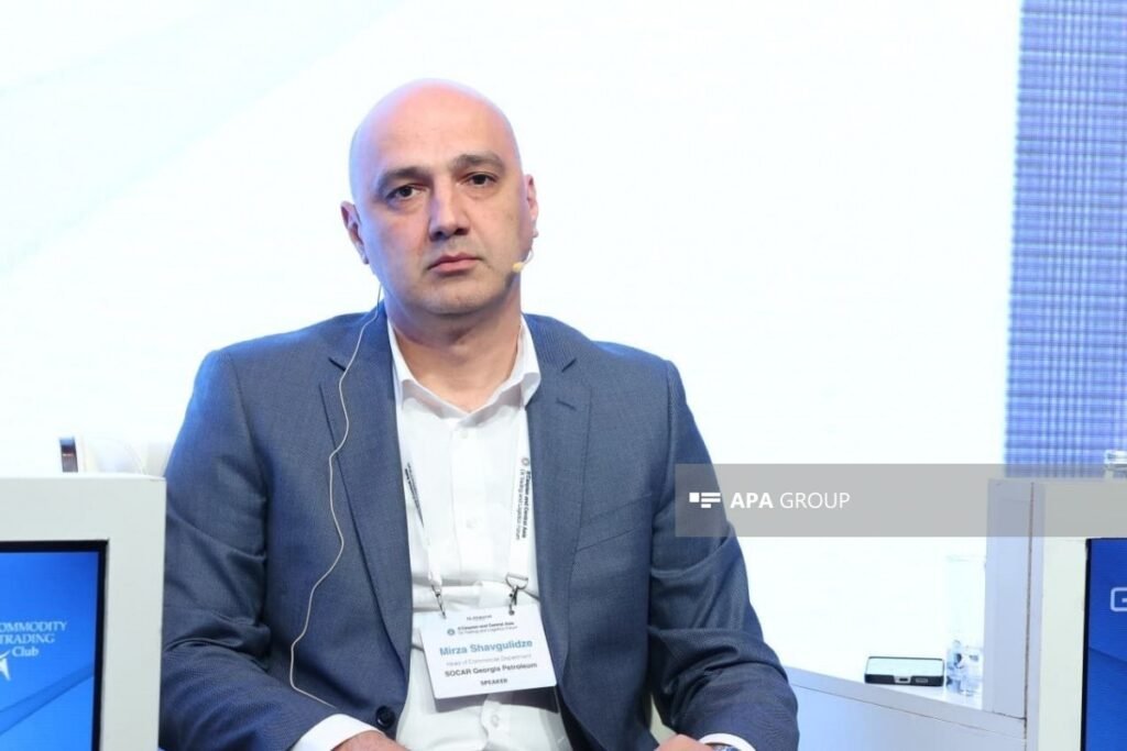 “SOCAR Georgia Petroleum”: Azərbaycan Gürcüstanın dizel idxalında ikinci yerdə qərarlaşır