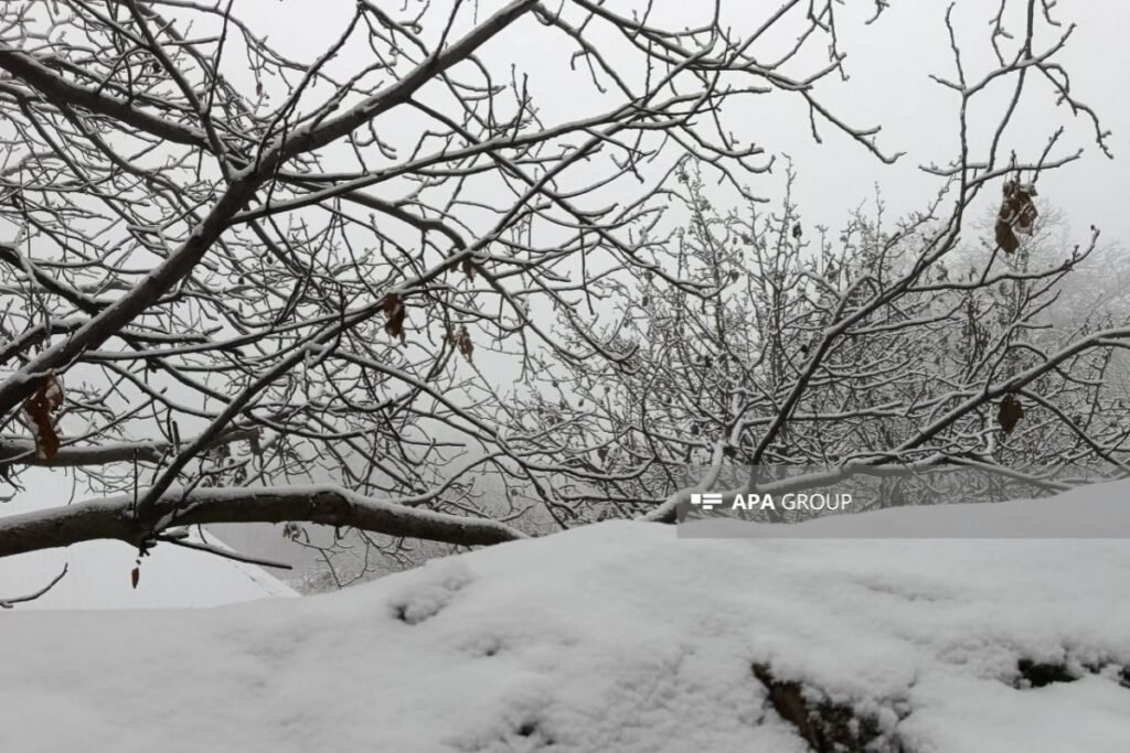 Daşkəsən və Gədəbəydə yüksək dağlıq ərazilərə qar yağıb – FAKTİKİ HAVA