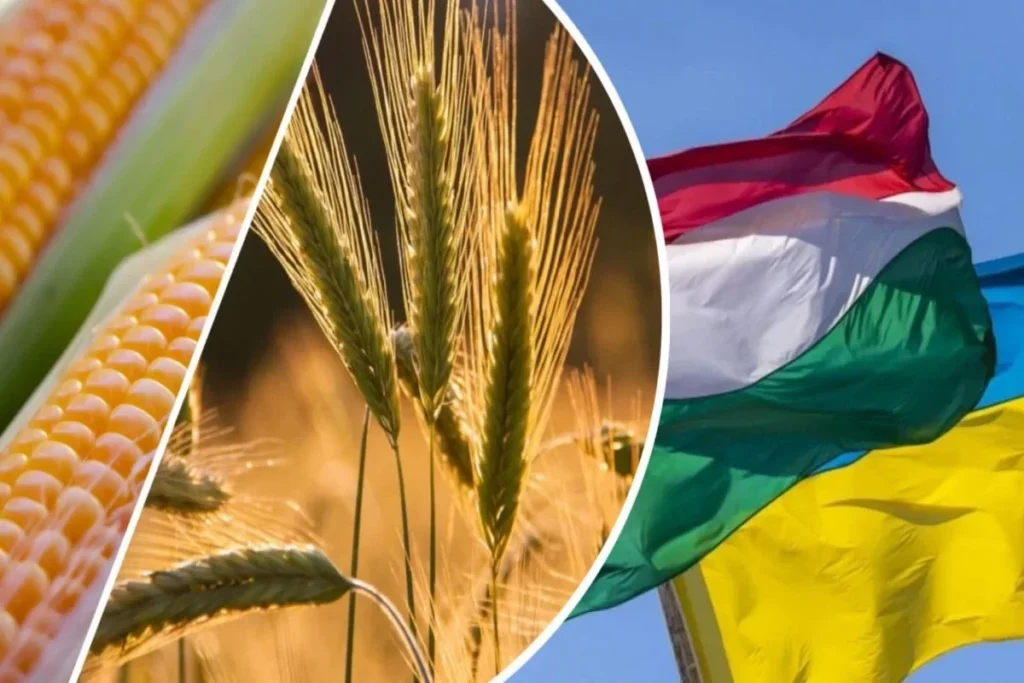 Macarıstan Ukraynadan kənd təsərrüfatı məhsullarının idxalını qadağan edir