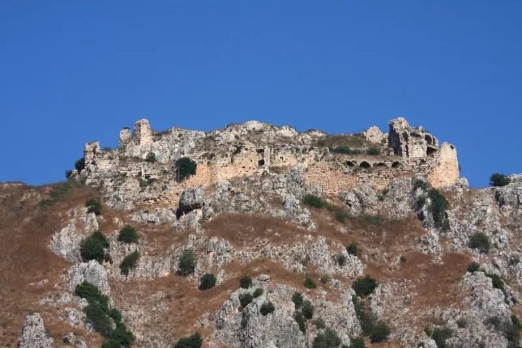 Bofor qalası alındıqdan sonra Livanın baş naziri təcili atəşkəsə çağırış edib