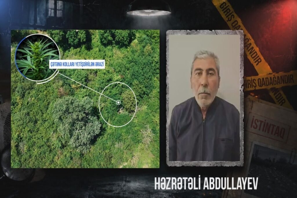 Qaxda çay sahilində çətənə kolu yetişdirən şəxs saxlanılıb – VİDEO