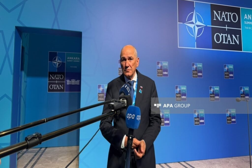 Sloveniya NATO qarşısında öhdəliklərinin icrası üçün əlavə vaxt istəyib