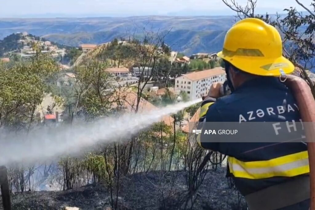 Laçında yaşayış evlərinin yaxınlığında yanğın olub – FOTO